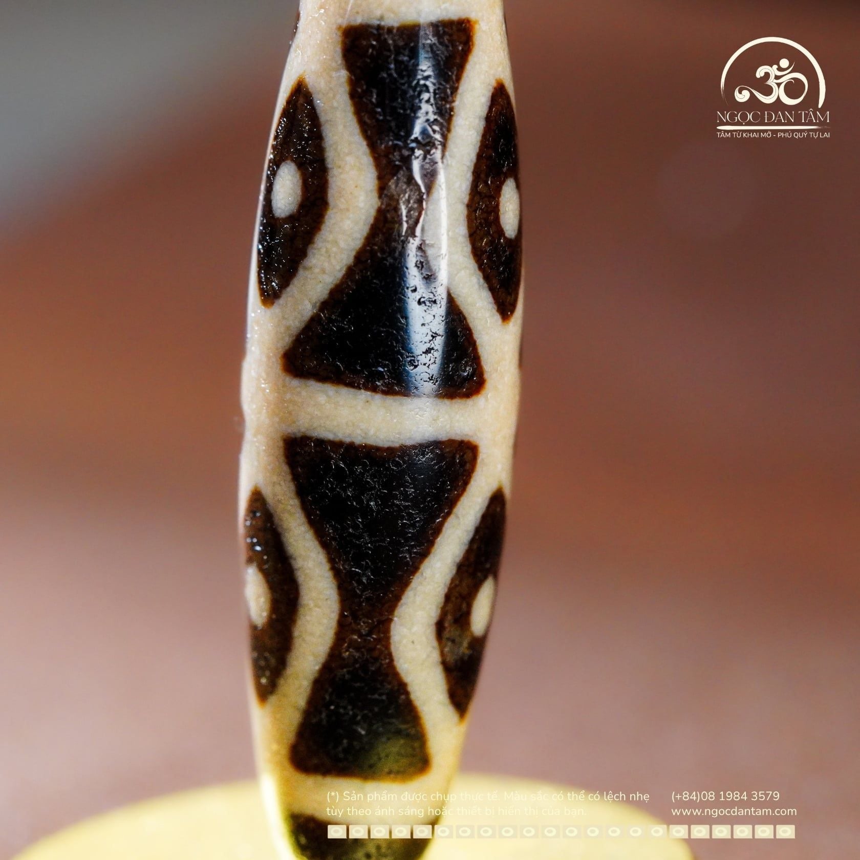  Dzi 6 Mắt (New Dzi - Shang Ken) 