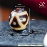  Dzi 6 Mắt 18x16mm (New Dzi - Shang Ken) 