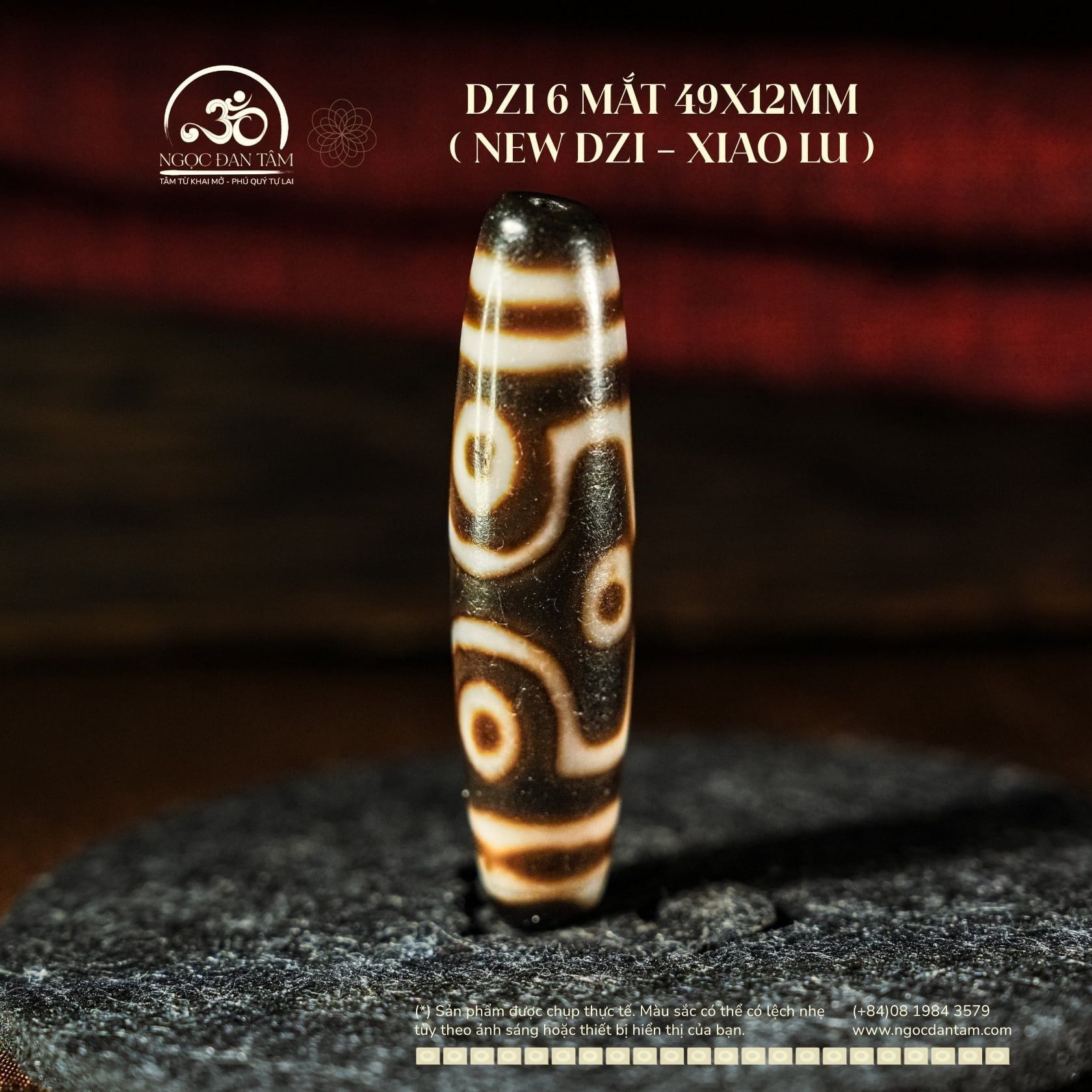  Dzi 6 Mắt 49x12mm ( New Dzi - Xiao Lu ) 