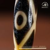  Đá Dzi 2 Mắt Giao Thoa 38x11mm (New Dzi - Shang Ken / Crossed 2 Eyed) 