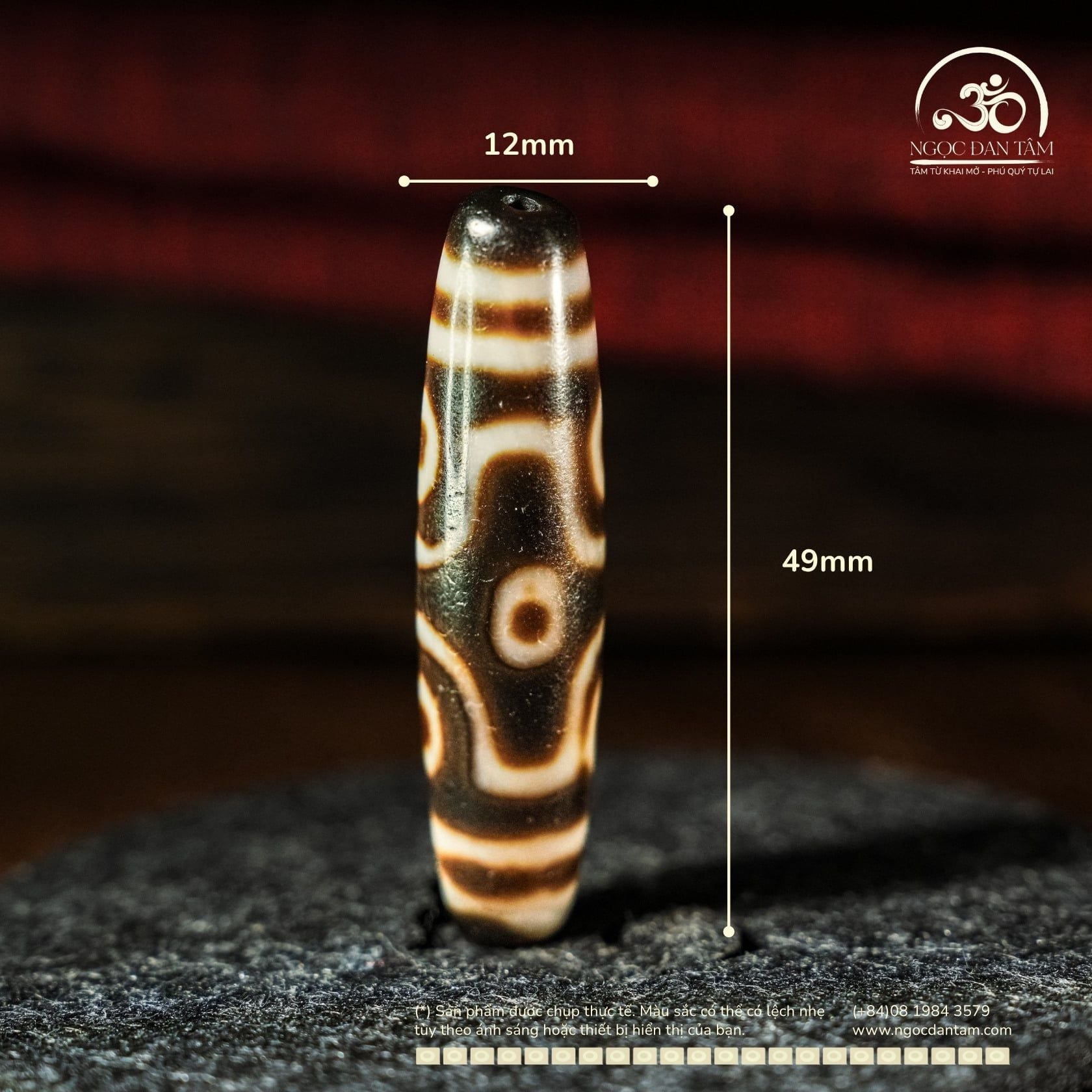  Dzi 6 Mắt 49x12mm ( New Dzi - Xiao Lu ) 