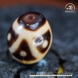  Dzi 6 Mắt 18x16mm (New Dzi - Shang Ken) 