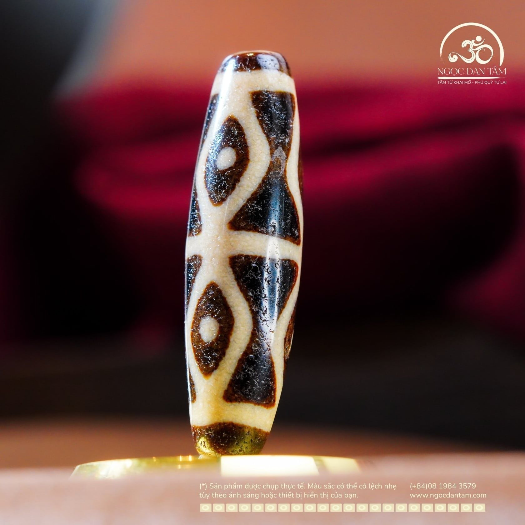 Dzi 6 Mắt (New Dzi - Shang Ken) 