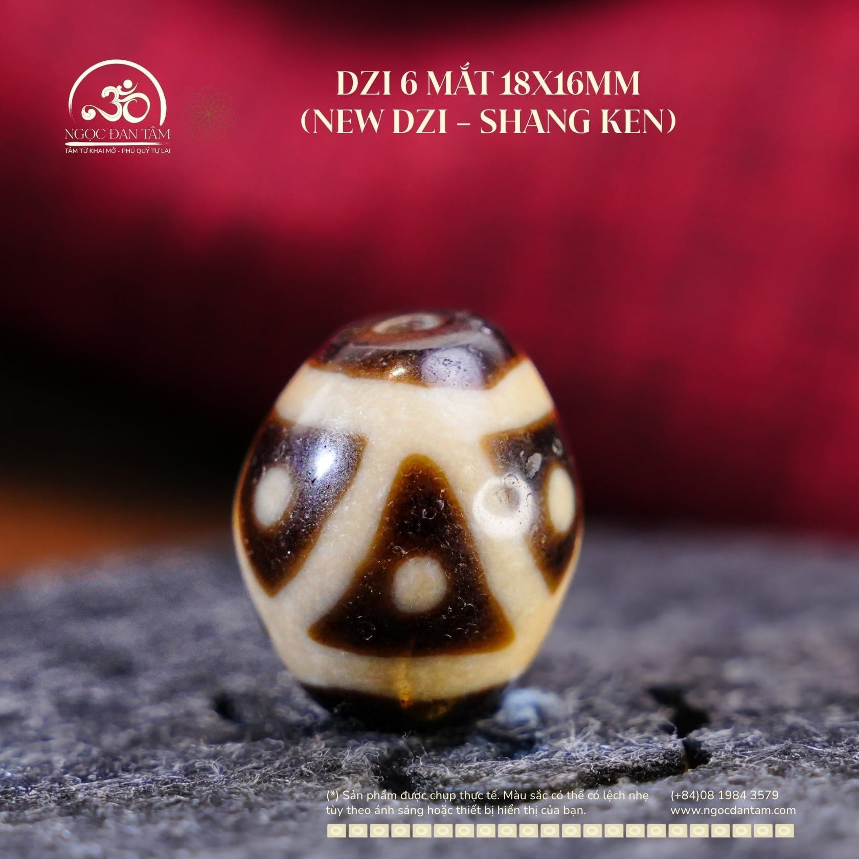  Dzi 6 Mắt 18x16mm (New Dzi - Shang Ken) 