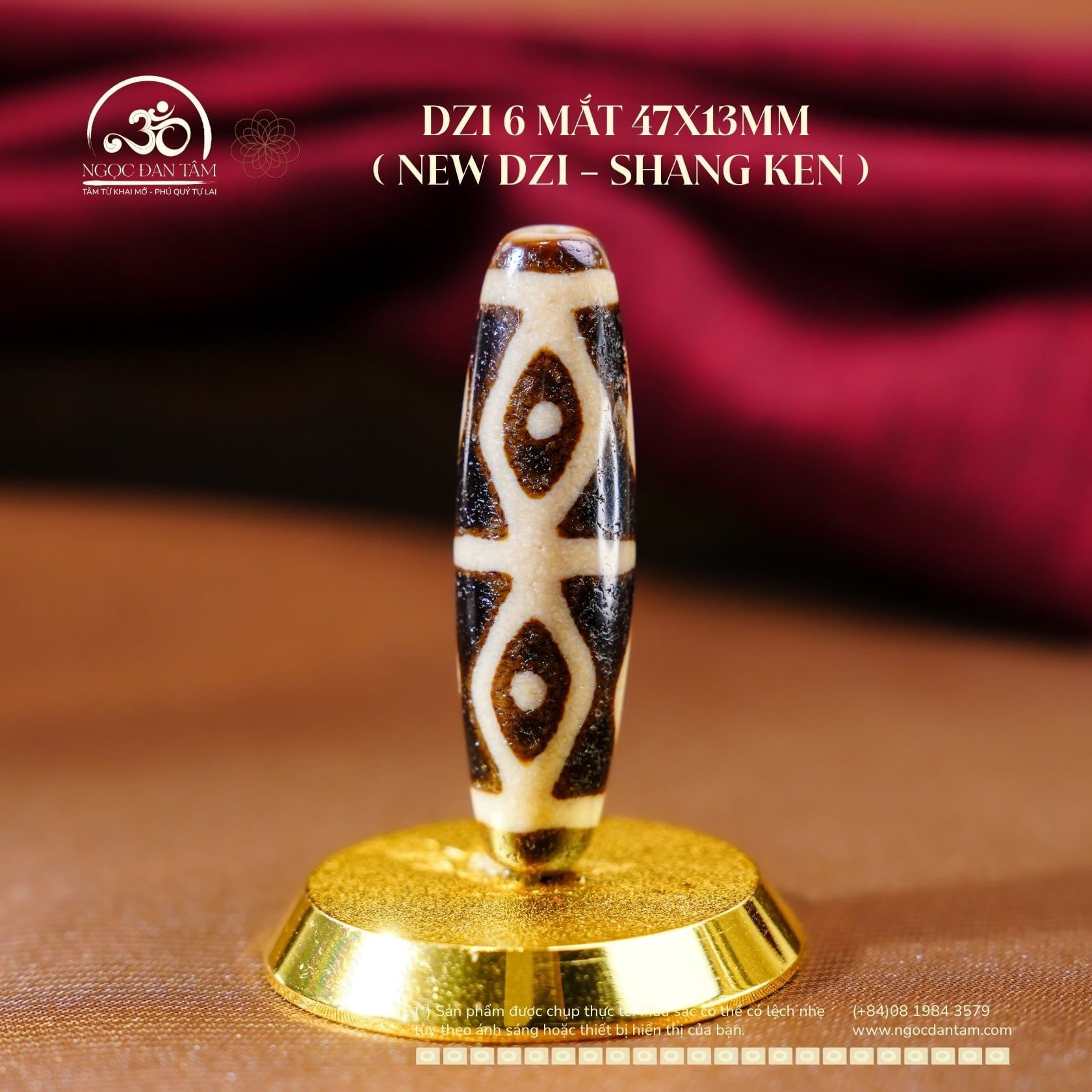  Dzi 6 Mắt (New Dzi - Shang Ken) 
