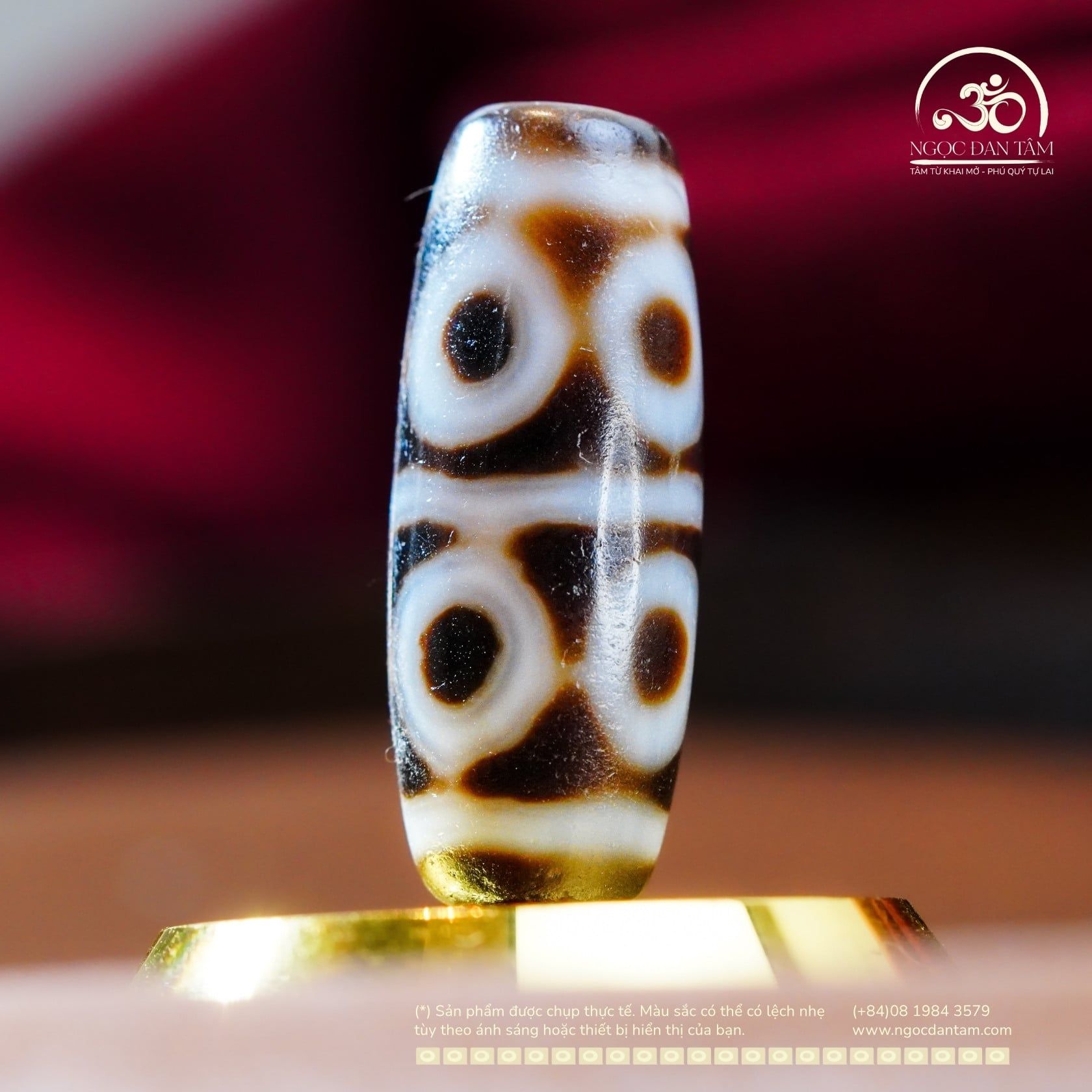  Dzi 8 Mắt 36x14mm (New Dzi - Xiao Lu) 