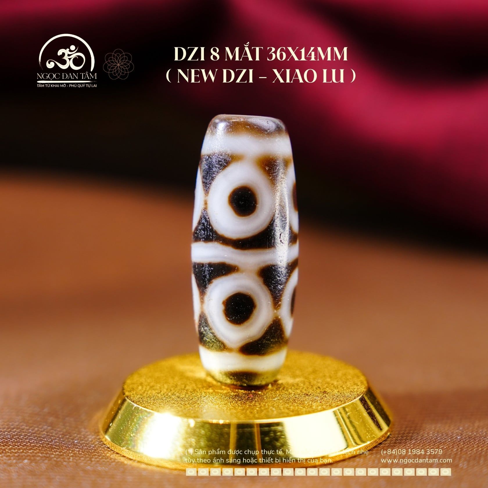  Dzi 8 Mắt 36x14mm (New Dzi - Xiao Lu) 