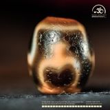  Dzi Bảo Bình 18x14mm (New Dzi - Xiao Lu) 