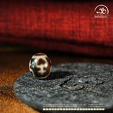  Dzi Bảo Bình 17x14mm ( New Dzi - Xiao Lu ) 