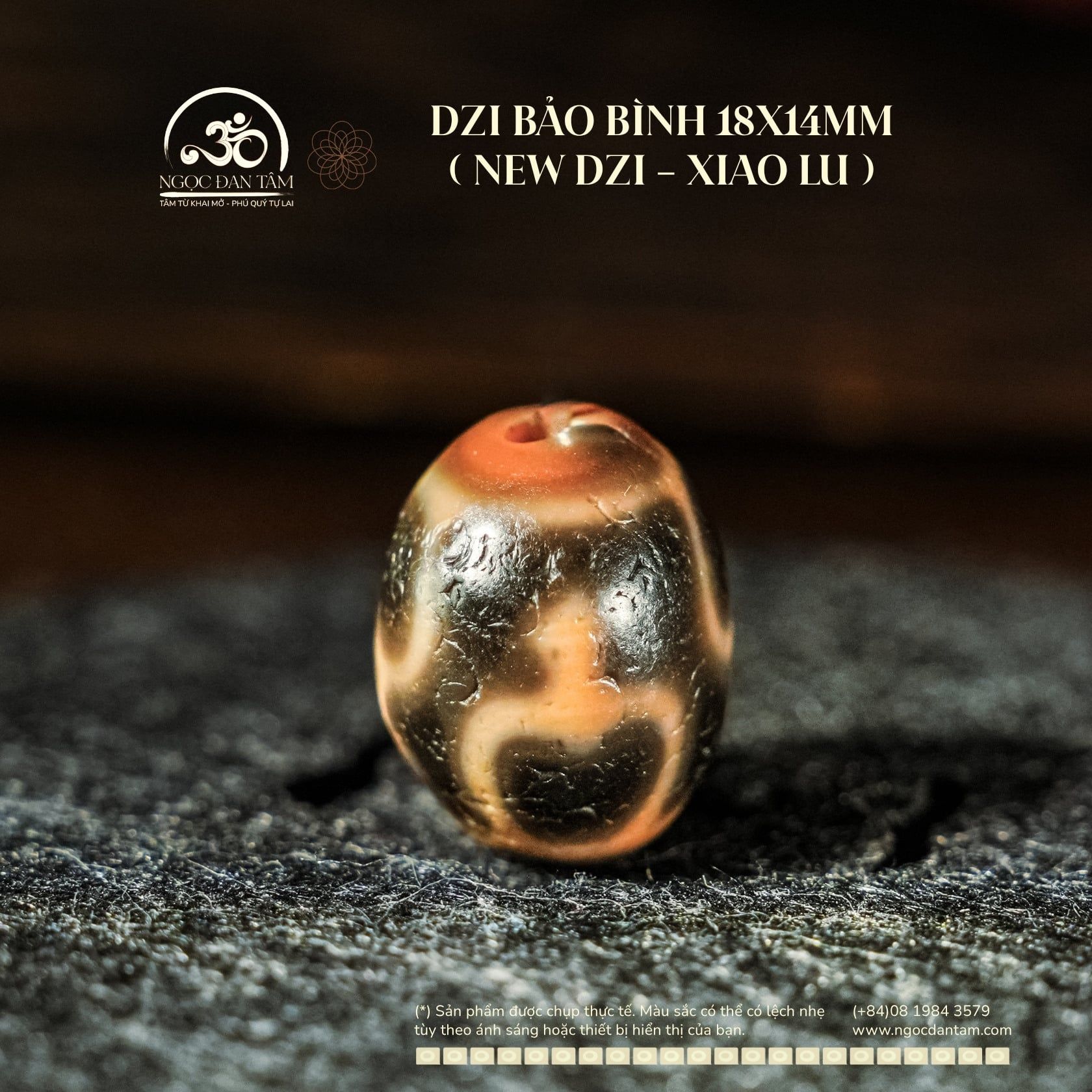  Dzi Bảo Bình 18x14mm (New Dzi - Xiao Lu) 