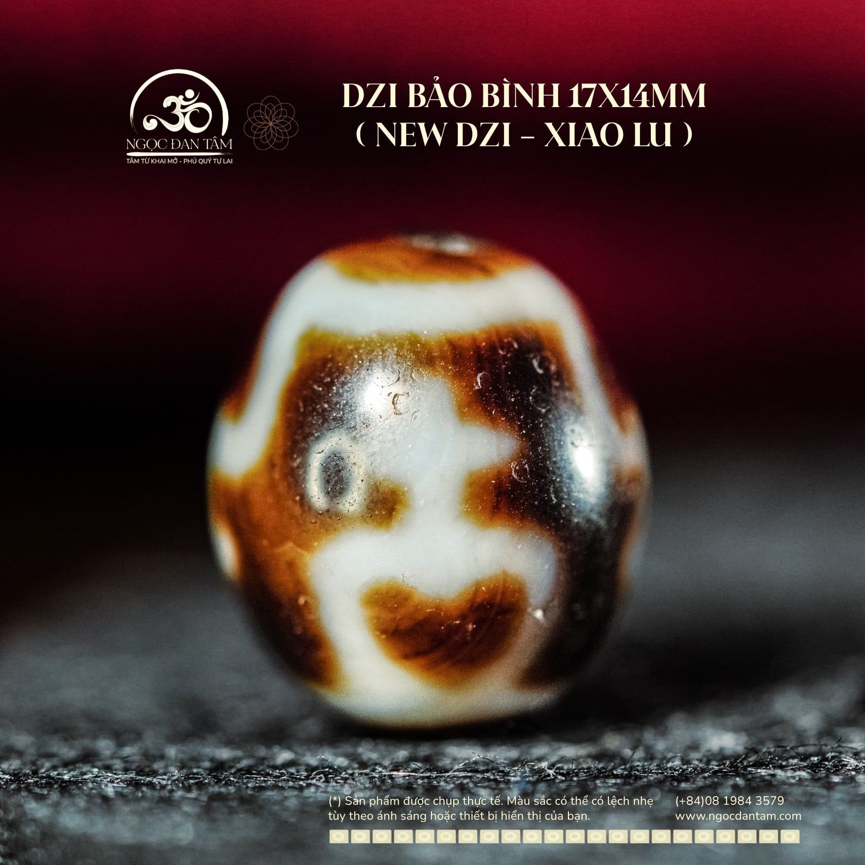  Dzi Bảo Bình 17x14mm ( New Dzi - Xiao Lu ) 