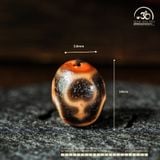  Dzi Bảo Bình 18x14mm (New Dzi - Xiao Lu) 