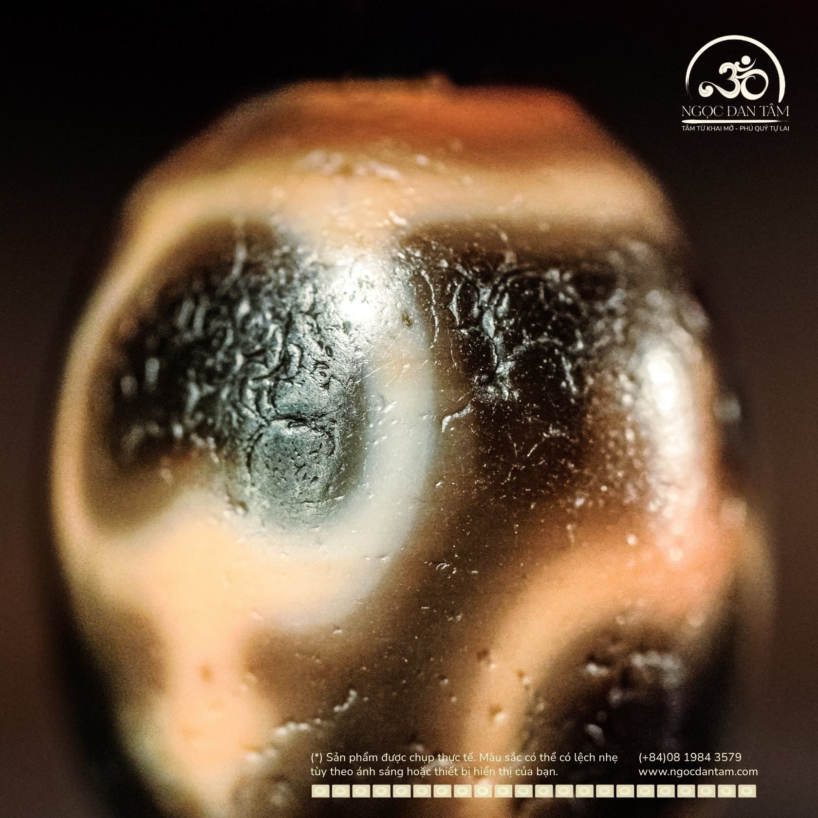  Dzi Bảo Bình 18x14mm (New Dzi - Xiao Lu) 