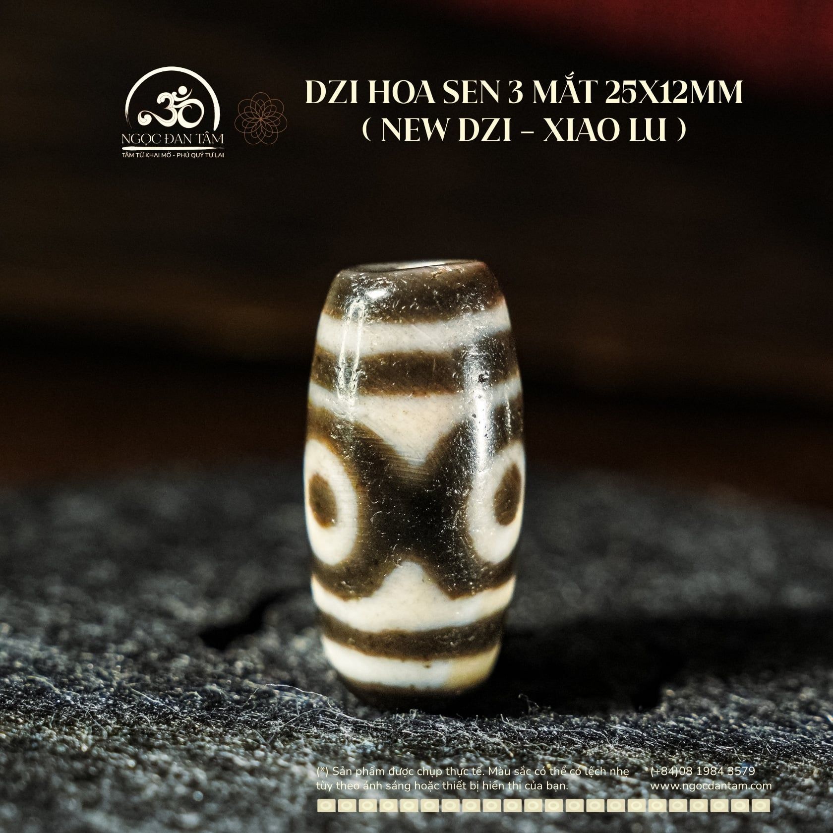 Dzi Hoa Sen 3 Mắt 25x12mm (New Dzi - Xiao Lu) 