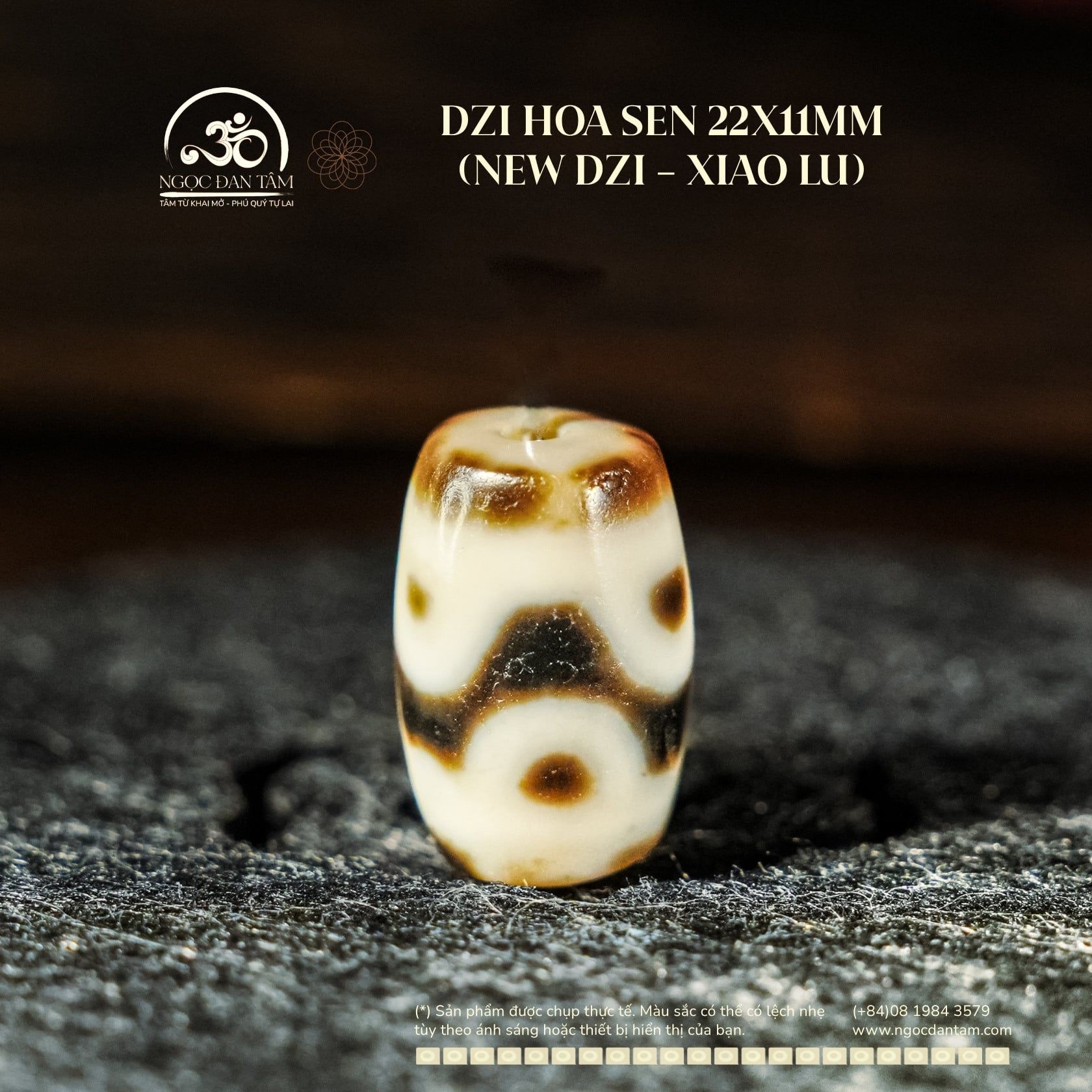  Dzi Hoa Sen 22x11mm (New Dzi - Xiao Lu) 