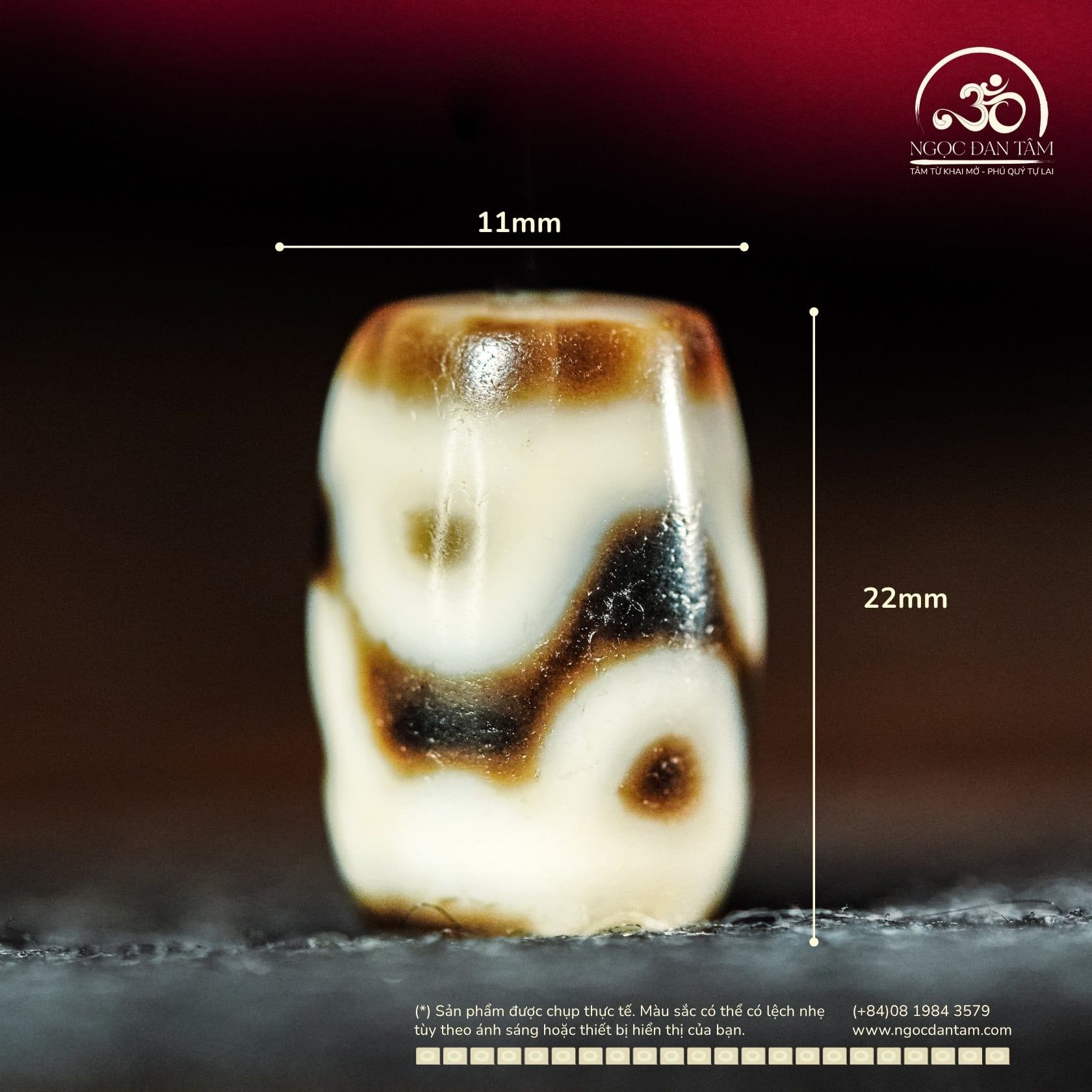  Dzi Hoa Sen 22x11mm (New Dzi - Xiao Lu) 