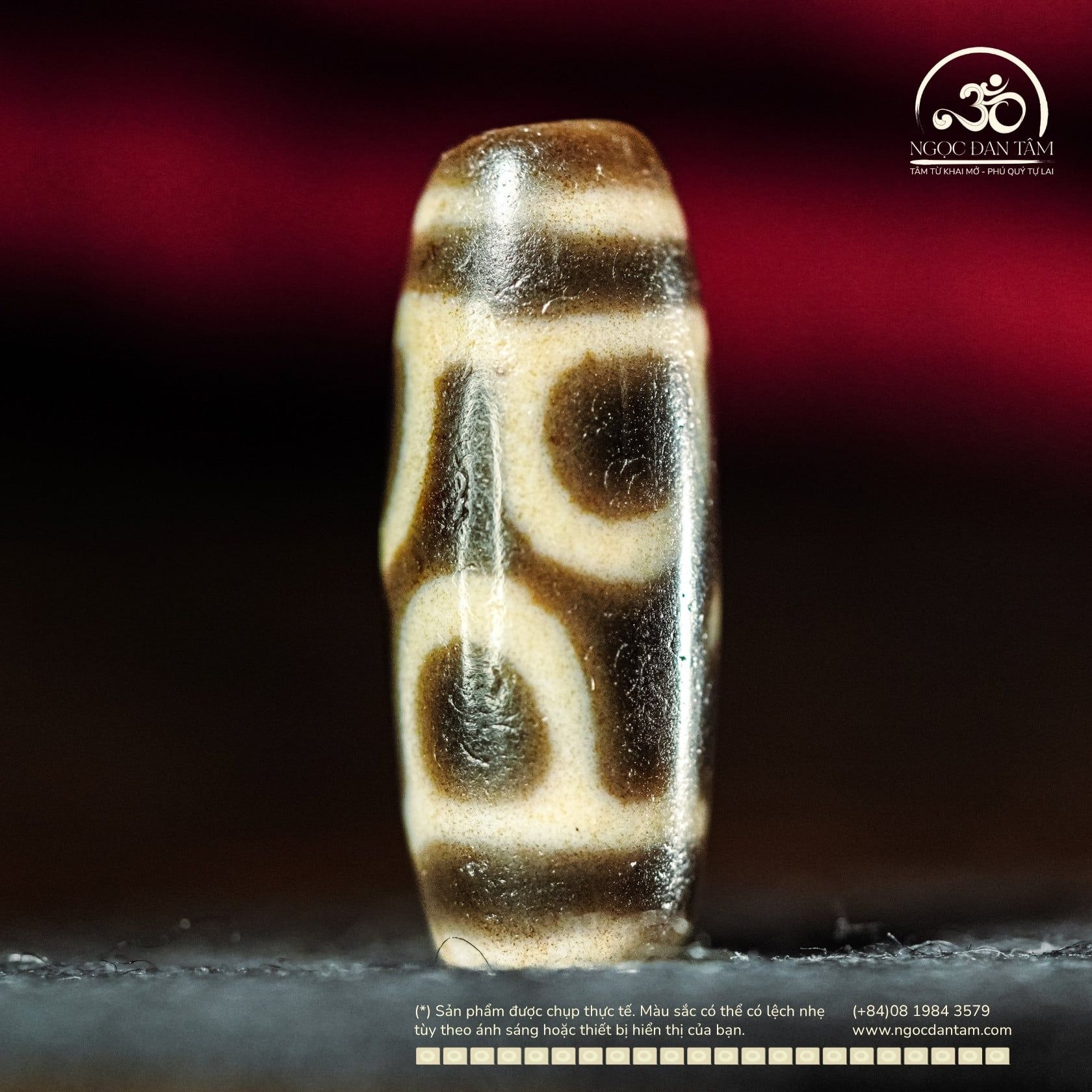  Dzi Hoa Sen 29x11mm (New Dzi - Xiao Lu) 