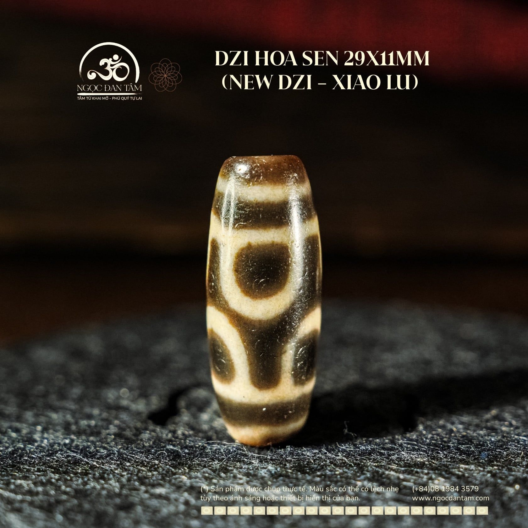  Dzi Hoa Sen 29x11mm (New Dzi - Xiao Lu) 