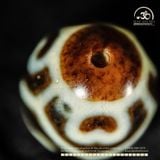  Dzi Hoa Sen Mai Rùa 20x18mm (New Dzi - Xiao Lu) 