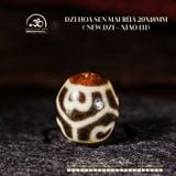  Dzi Hoa Sen Mai Rùa 20x18mm (New Dzi - Xiao Lu) 