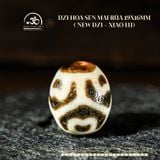  Dzi Hoa Sen Mai Rùa 19x16mm (New Dzi - Xiao Lu) 
