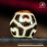  Dzi Hoa Sen Mai Rùa 20x18mm (New Dzi - Xiao Lu) 