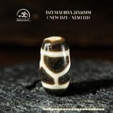  Dzi Mai Rùa 21x11mm ( New Dzi - Xiao Lu ) 