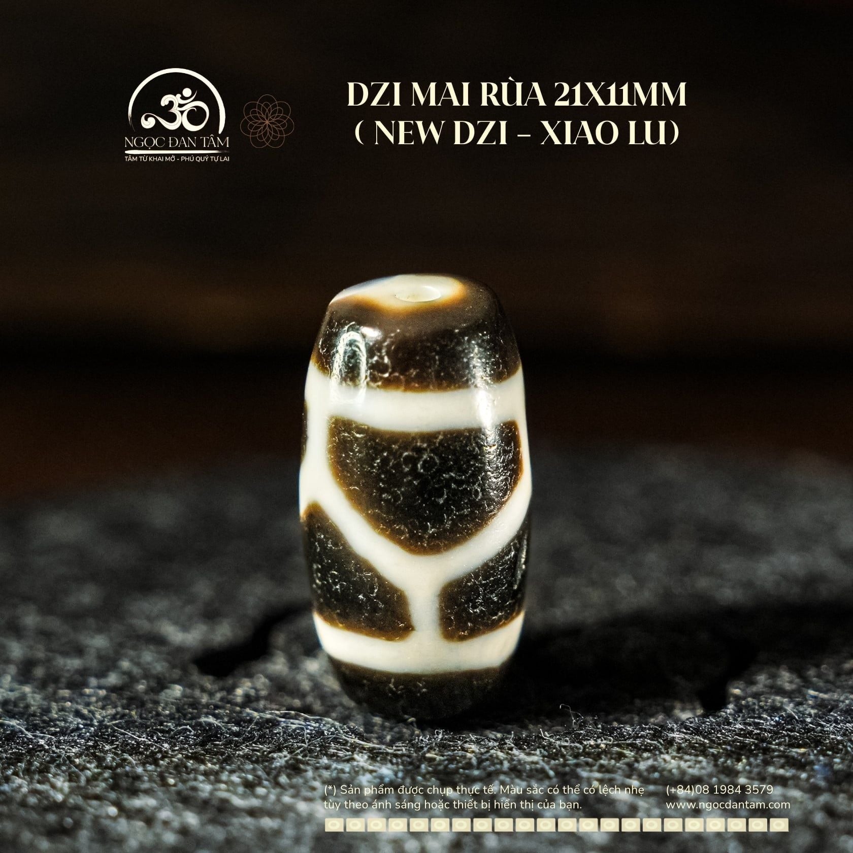  Dzi Mai Rùa 21x11mm ( New Dzi - Xiao Lu ) 