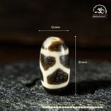  Dzi Mai Rùa 21x11mm ( New Dzi - Xiao Lu ) 