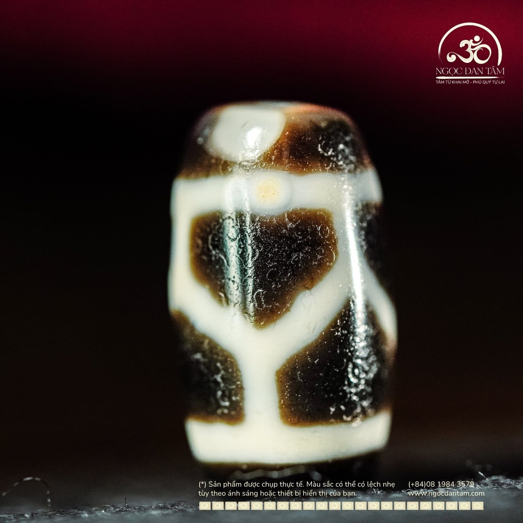  Dzi Mai Rùa 21x11mm ( New Dzi - Xiao Lu ) 
