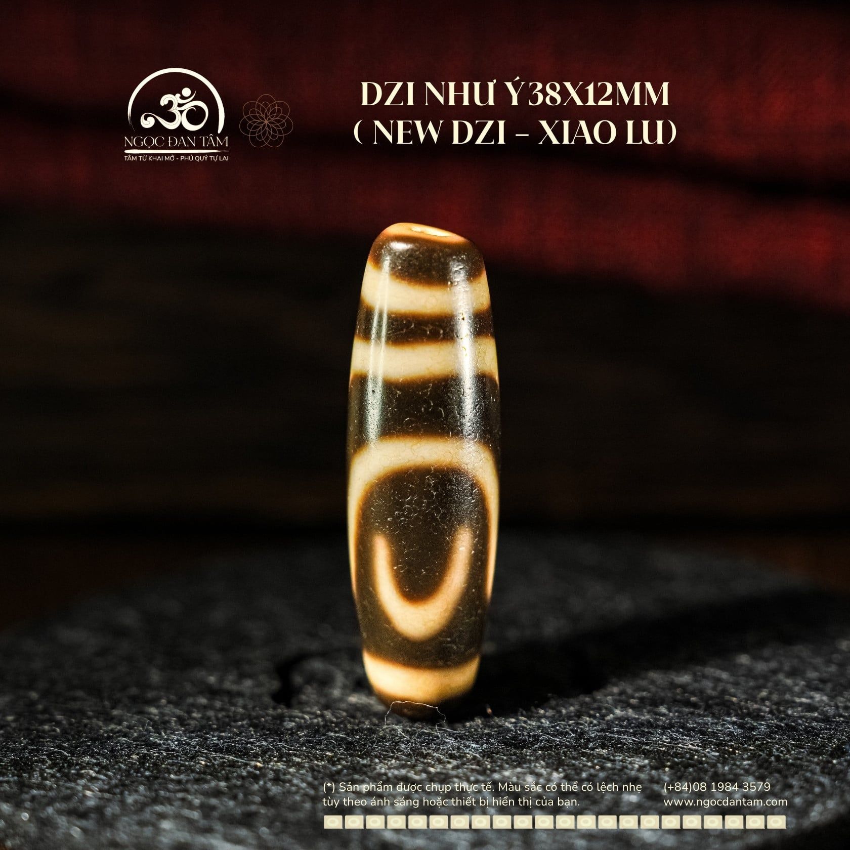  Dzi Như Ý 38x12mm (New Dzi - Xiao Lu) 