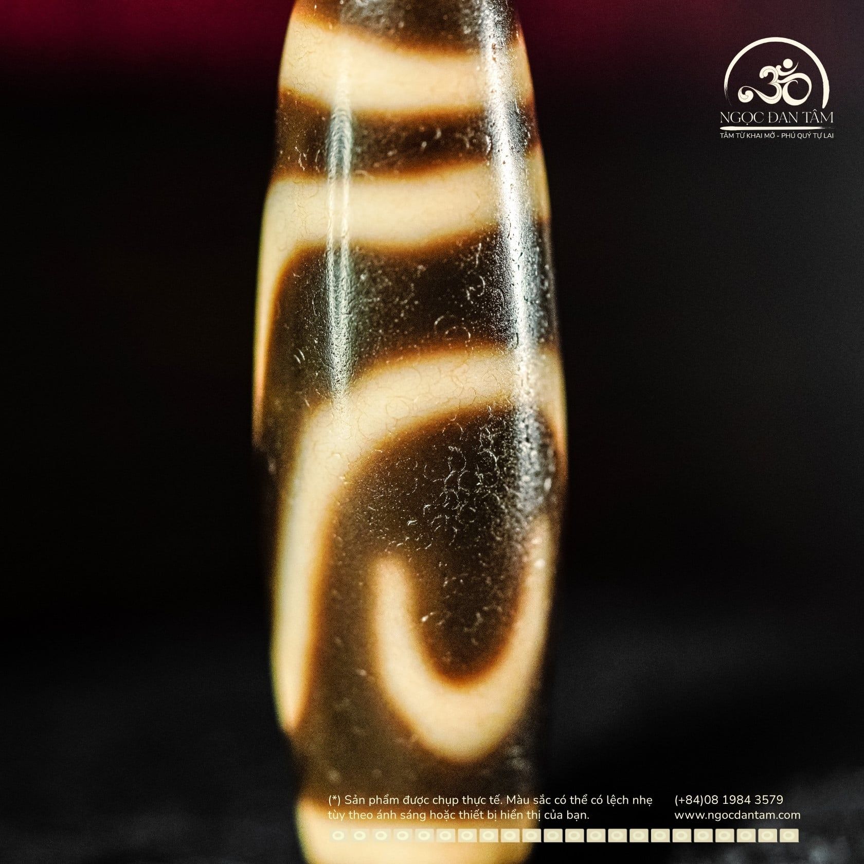  Dzi Như Ý 38x12mm (New Dzi - Xiao Lu) 