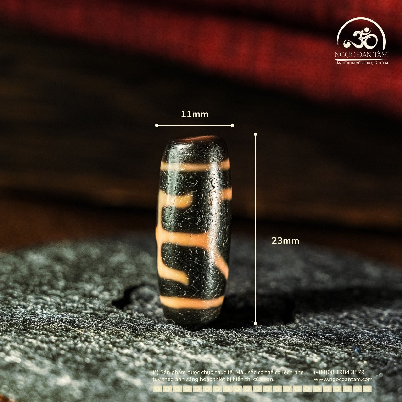  Dzi Quý Nhân 23x11mm (New Dzi - Xiao Lu) 