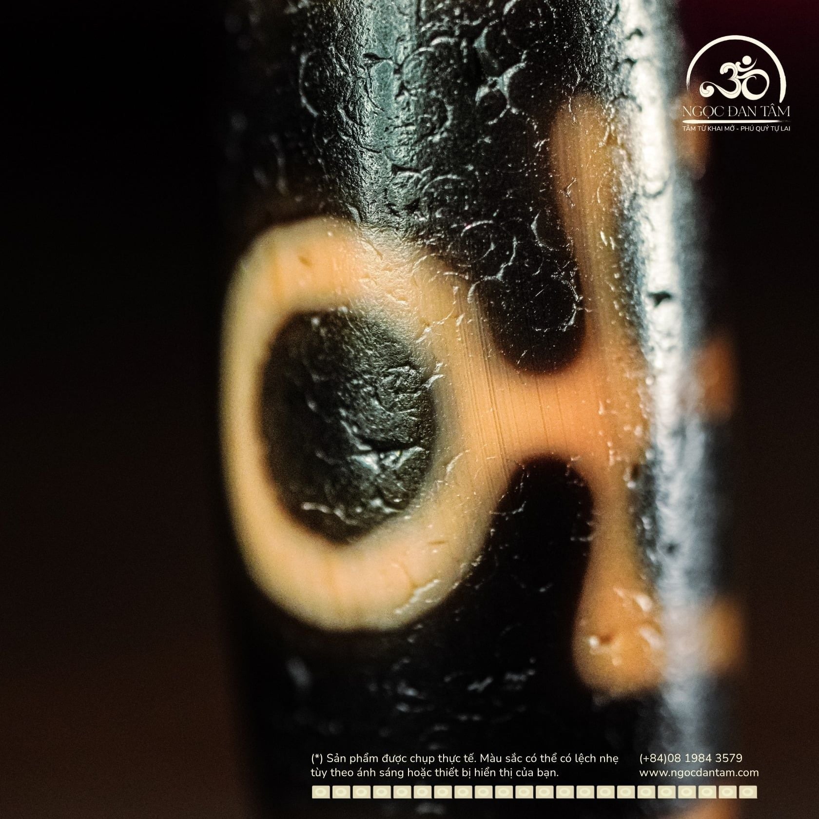  Dzi Quý Nhân 23x11mm (New Dzi - Xiao Lu) 
