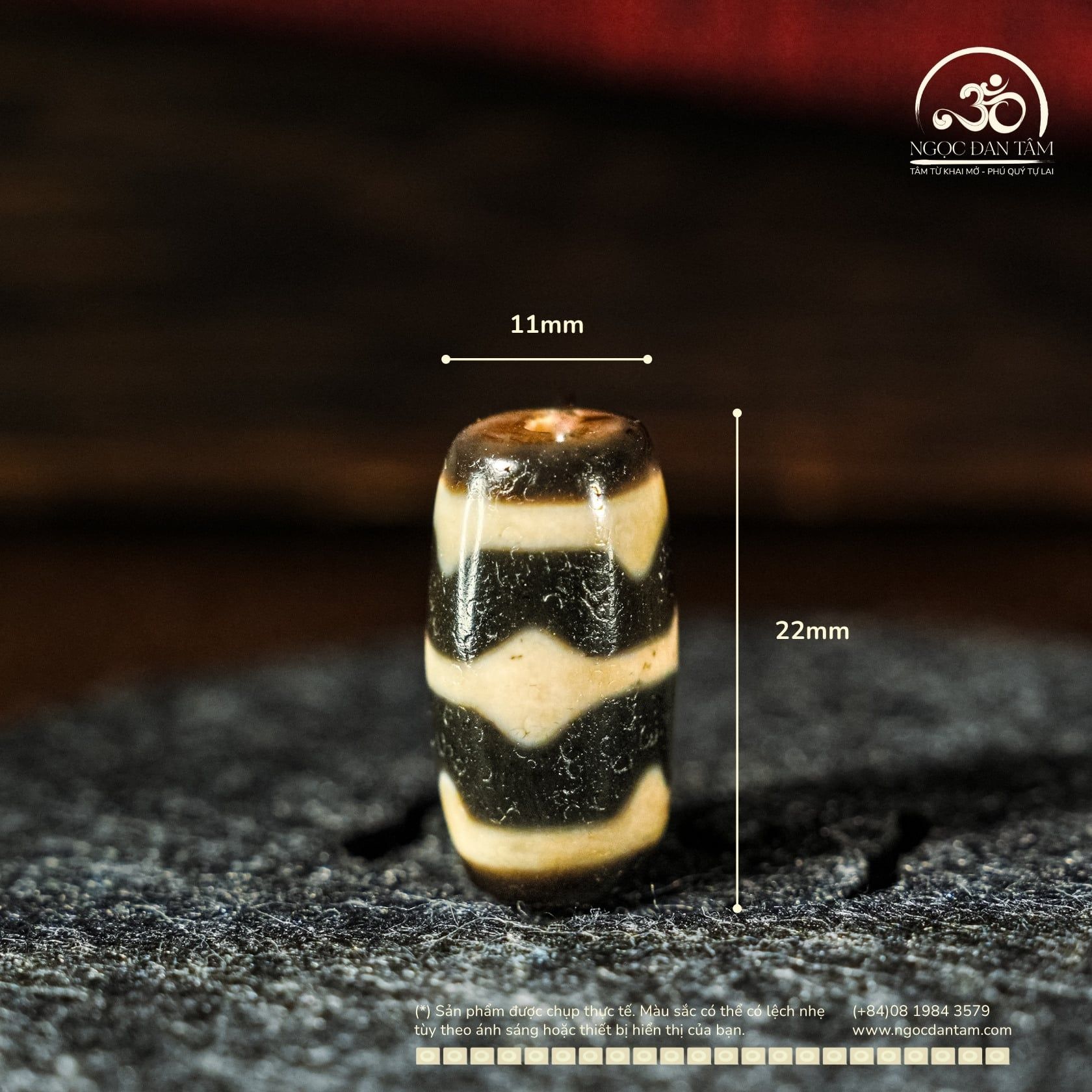 Dzi Răng Cọp Đôi 22x11mm (New Dzi - Xiao Lu) 