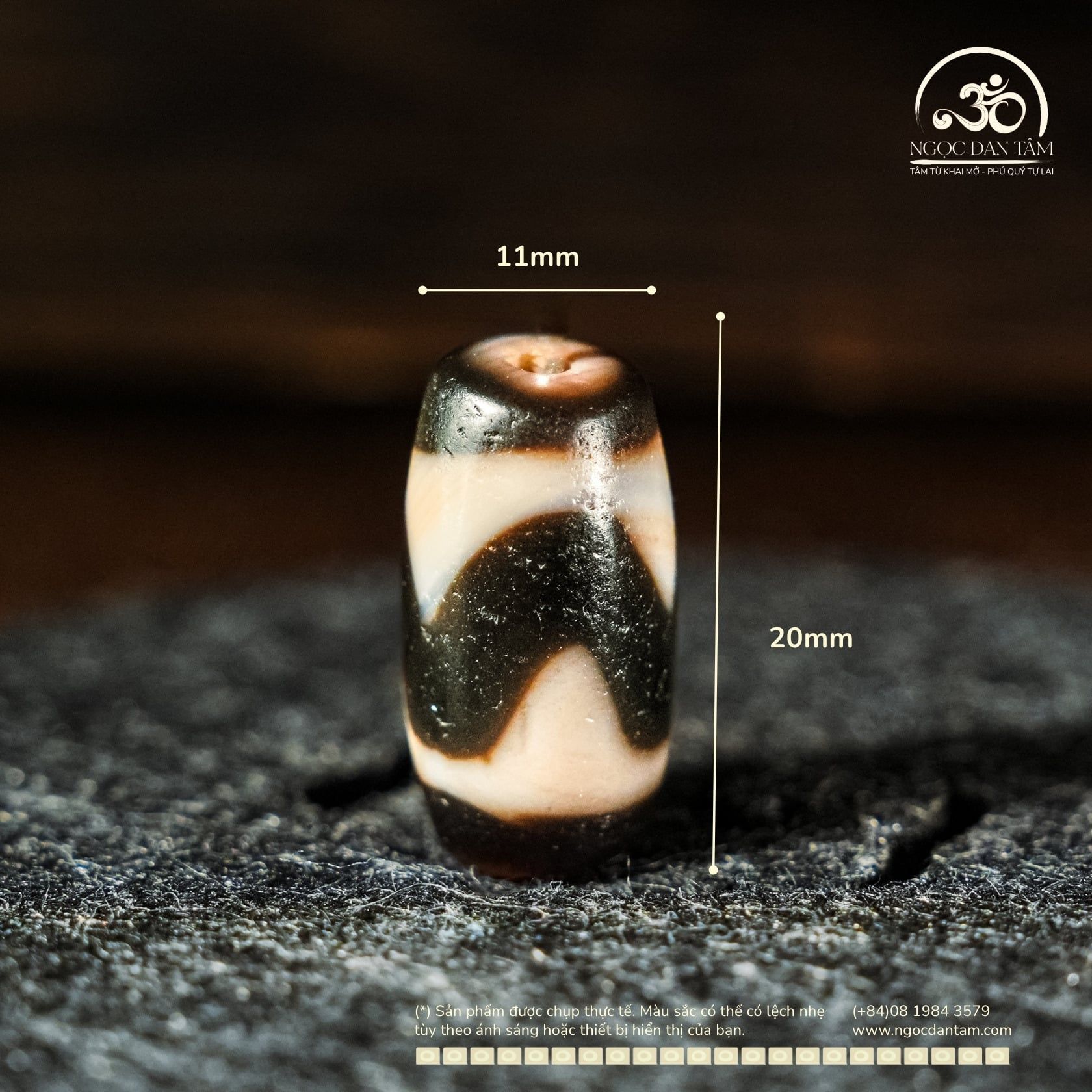  Dzi Răng Cọp 20x11mm (New Dzi - Xiao Lu) 