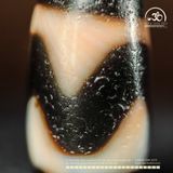  Dzi Răng Cọp 20x11mm (New Dzi - Xiao Lu) 