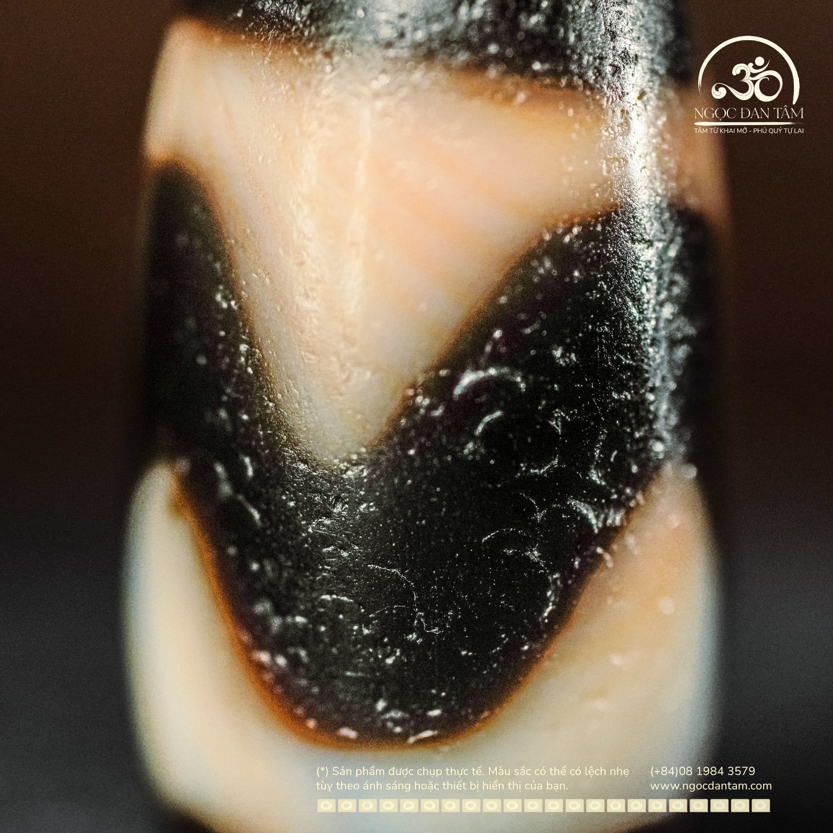  Dzi Răng Cọp 20x11mm (New Dzi - Xiao Lu) 