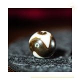  Dzi Răng Cọp 12x12mm (New Dzi - Xiao Lu) 