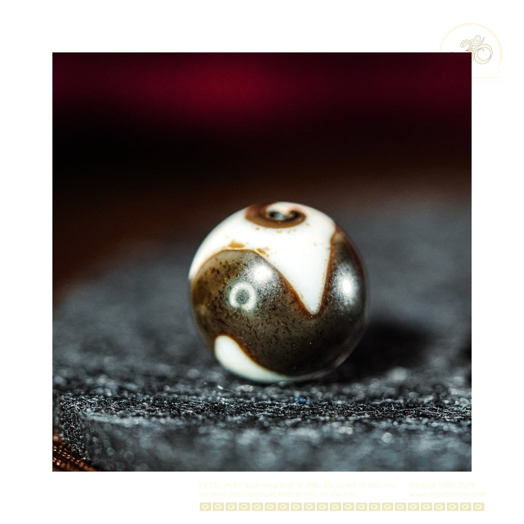  Dzi Răng Cọp 12x12mm (New Dzi - Xiao Lu) 