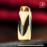  Dzi Răng Cọp 30x11mm (New Dzi - Xiao Lu) 