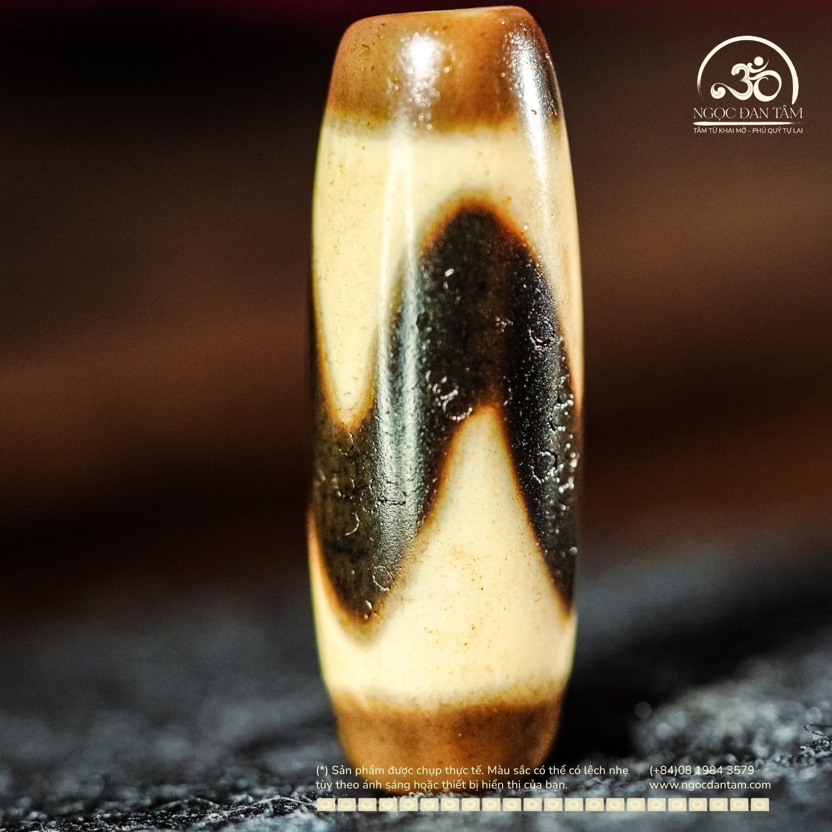  Dzi Răng Cọp 30x11mm (New Dzi - Xiao Lu) 