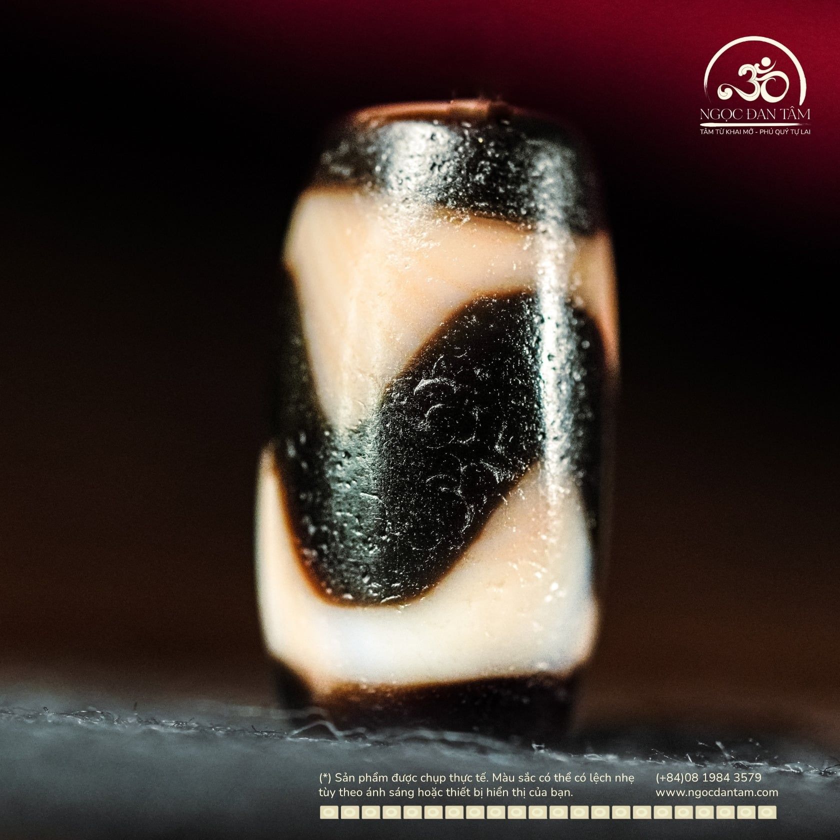 Dzi Răng Cọp 20x11mm (New Dzi - Xiao Lu) 