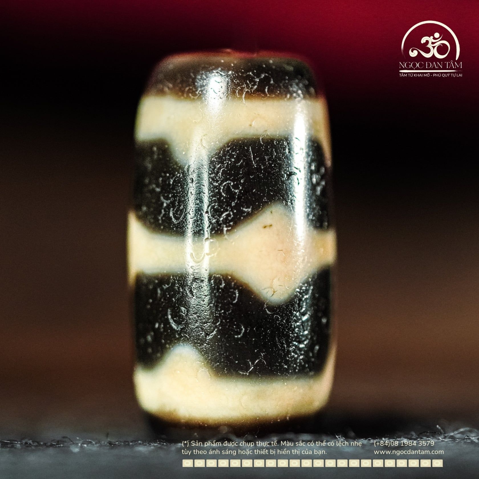  Dzi Răng Cọp Đôi 22x11mm (New Dzi - Xiao Lu) 
