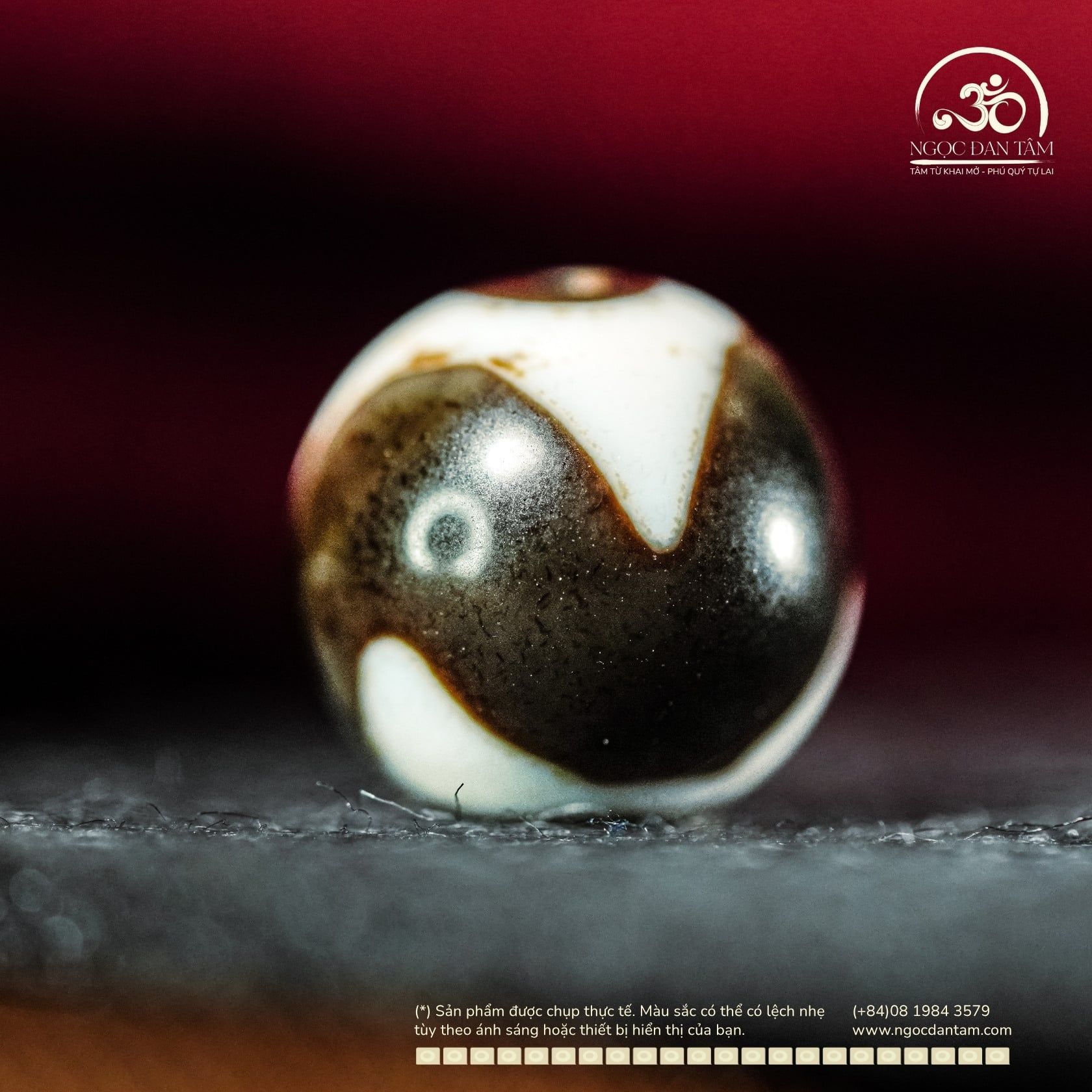  Dzi Răng Cọp 12x12mm (New Dzi - Xiao Lu) 