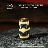  Dzi Răng Cọp Đôi 22x11mm (New Dzi - Xiao Lu) 