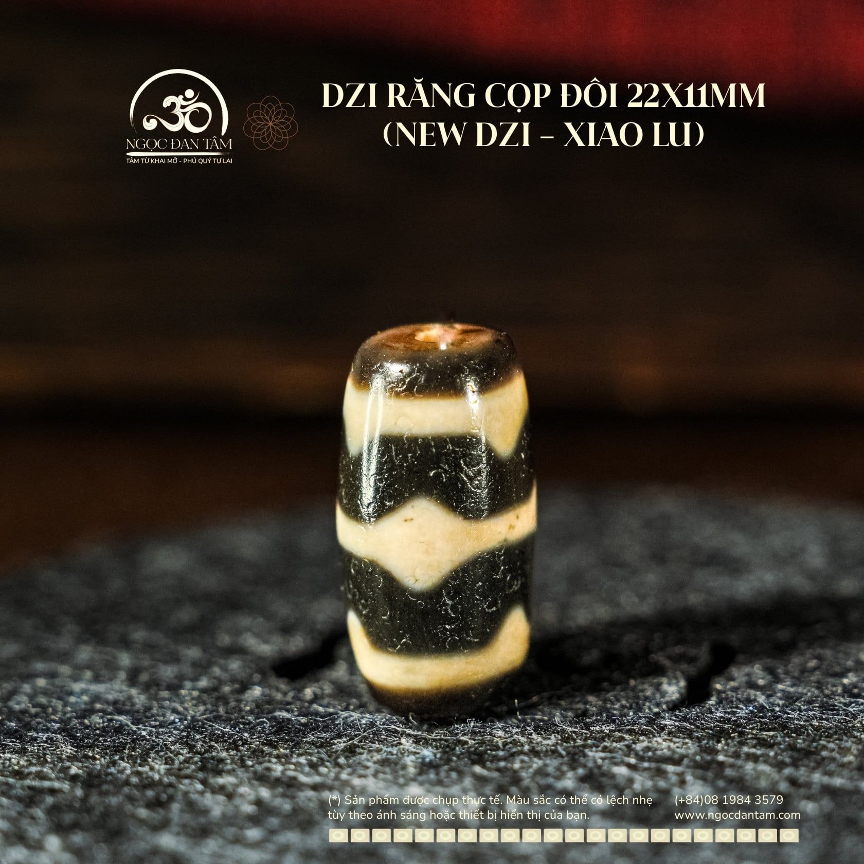  Dzi Răng Cọp Đôi 22x11mm (New Dzi - Xiao Lu) 
