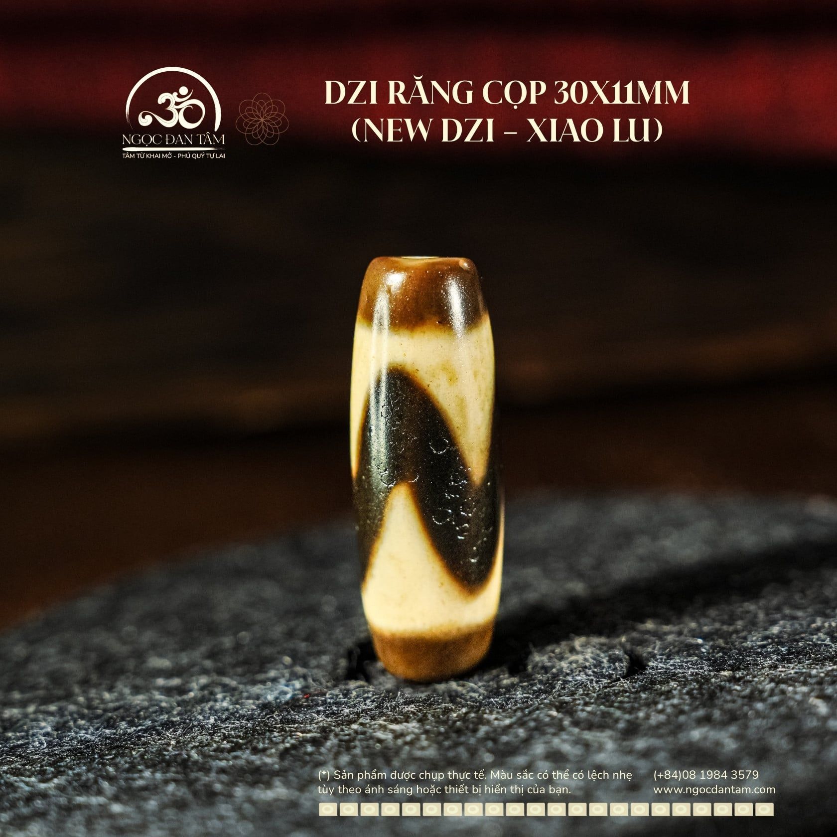  Dzi Răng Cọp 30x11mm (New Dzi - Xiao Lu) 