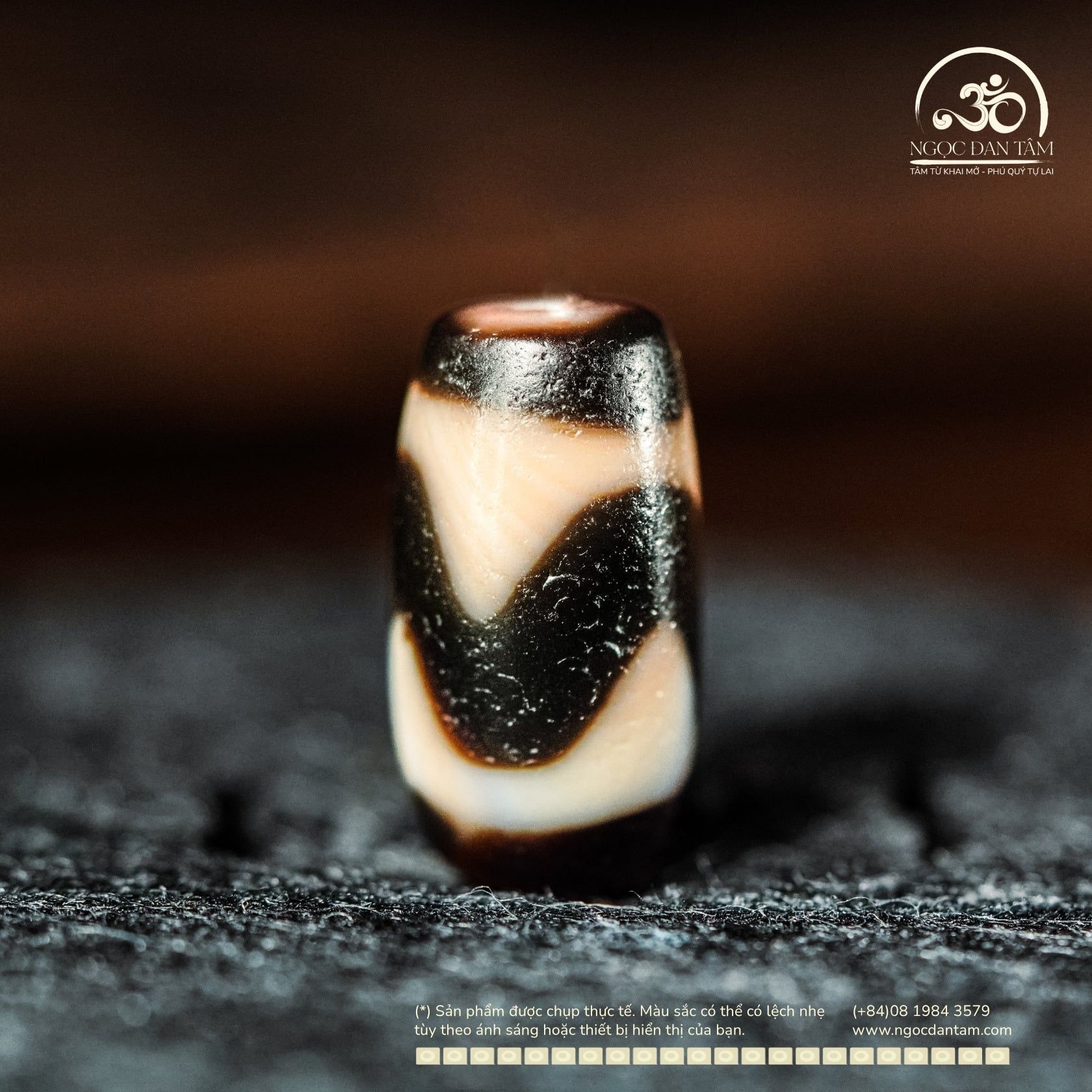  Dzi Răng Cọp 20x11mm (New Dzi - Xiao Lu) 