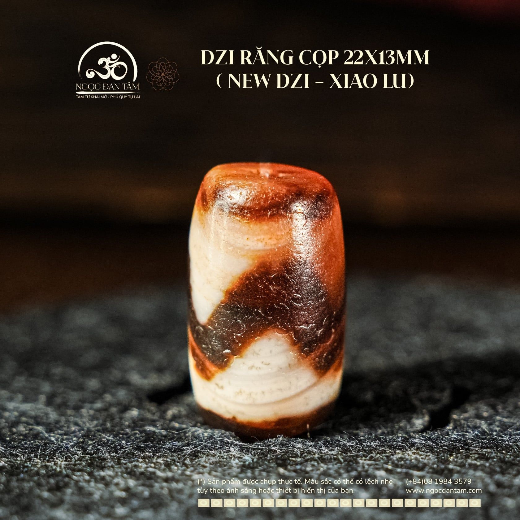  Dzi Răng Cọp 22x13mm (New Dzi - Xiao Lu) 